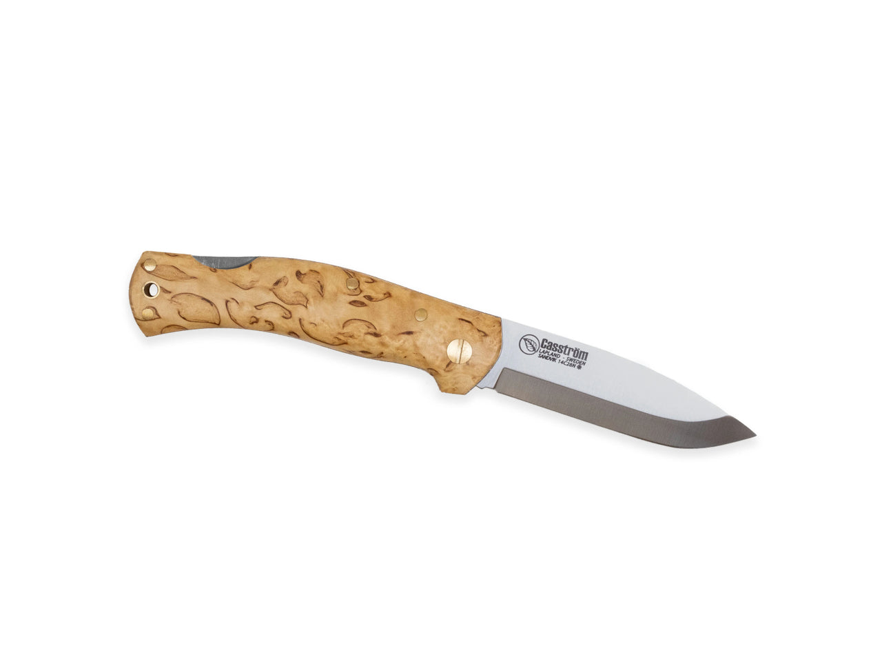 Casstrom Lars Falt Lockback