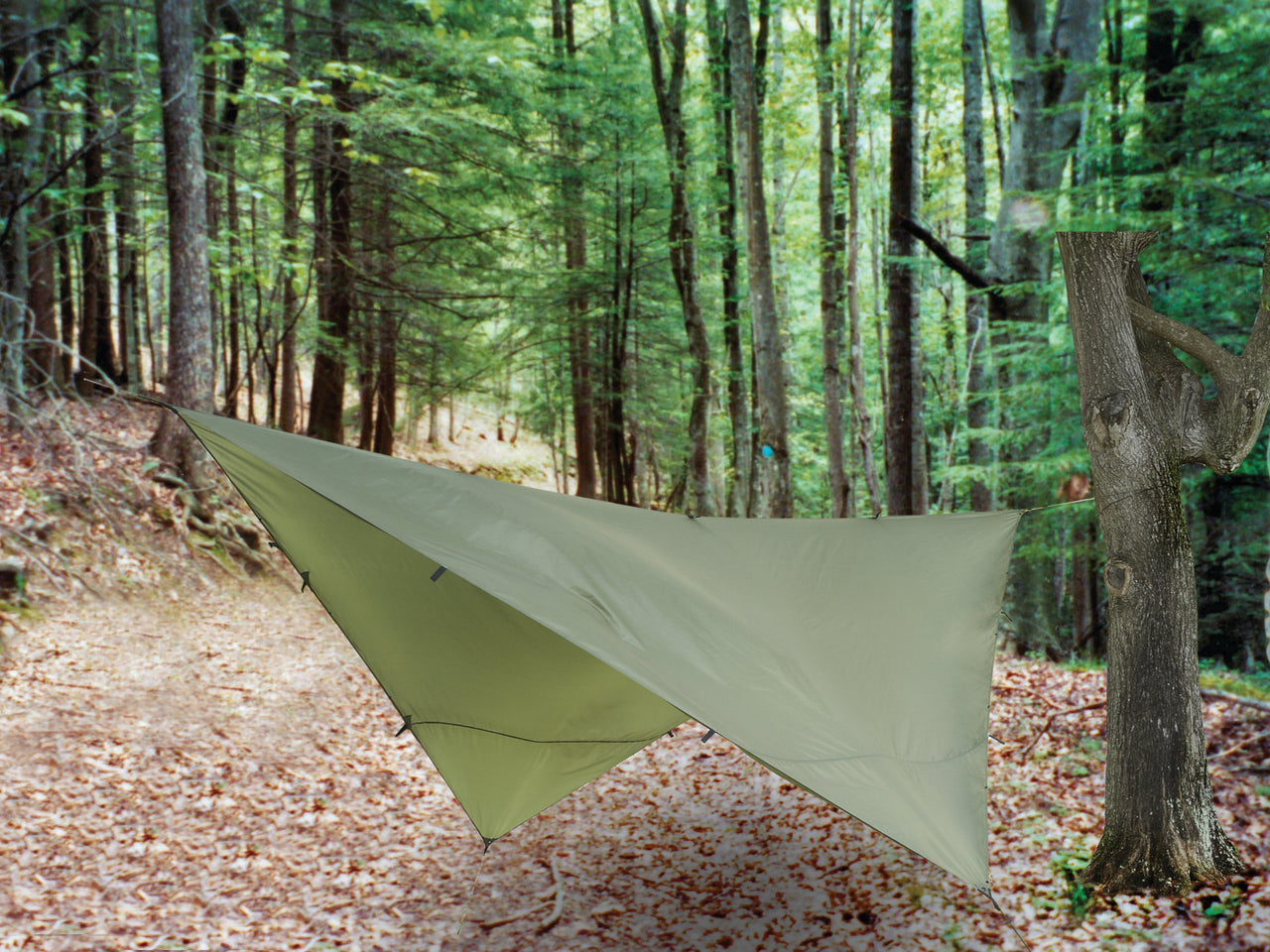 Snugpak All Weather Shelter Diamond Pitch