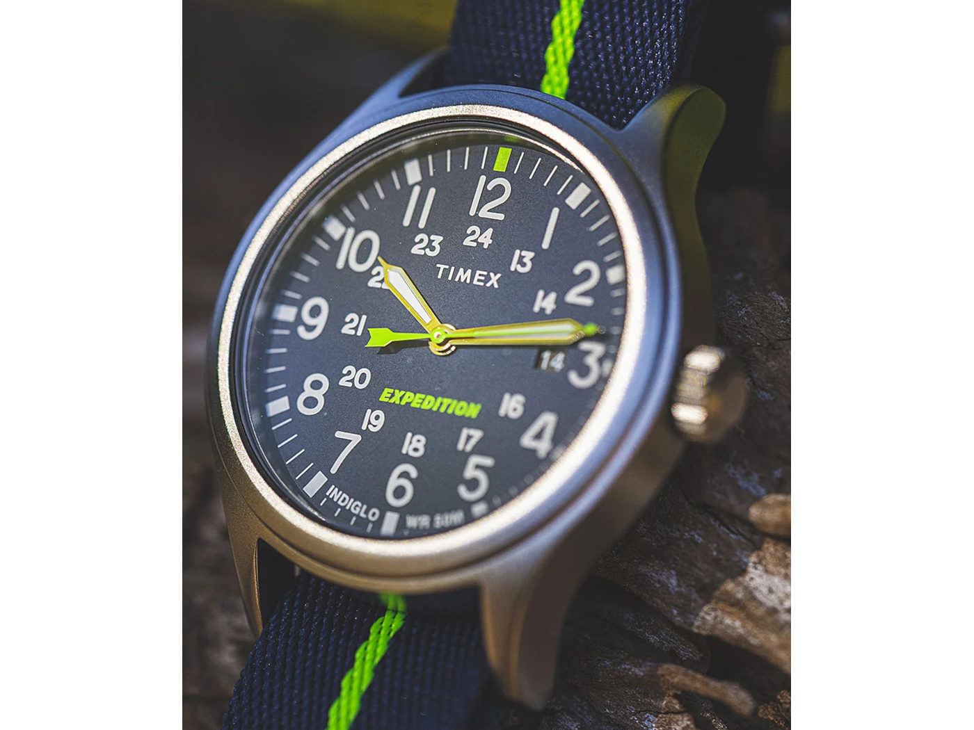 Timex clearance expedition blue